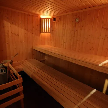 Triplex 12 Pers., Luxe, Expose Sud-est, Proche Pistes, Animaux Acceptes - Fr-1-263-156 Chalet *