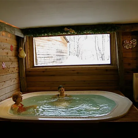 Chalet Triplex 12 Pers., Luxe, Expose Sud-est, Proche Pistes, Animaux Acceptes - Fr-1-263-156